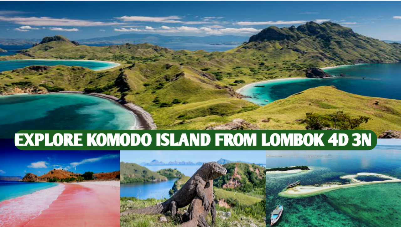 Comodo Island Travel Guide: Unveiling Wonders of a Hidden Paradise