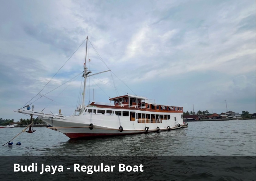 Sailing Komodo 4D3N with Budi Jaya – Best Budget Komodo Island Tour