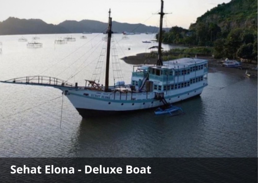 Sehat Elona Luxury Cruise